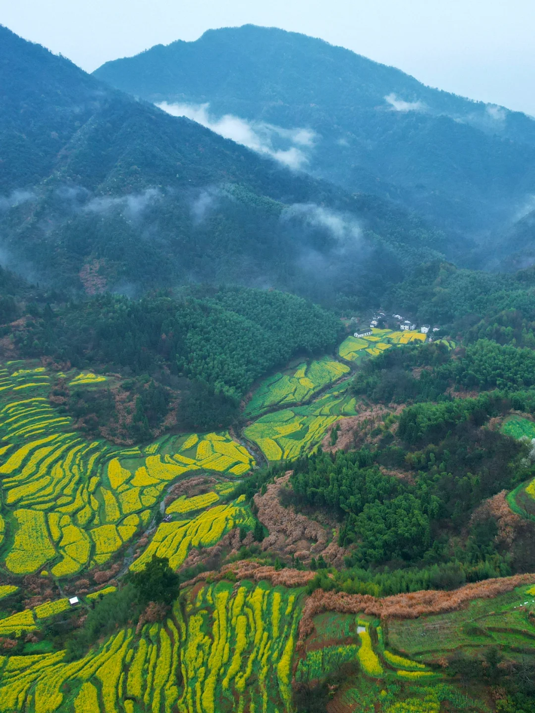 藏在江西古村里的“全球最美梯田”有多绝！