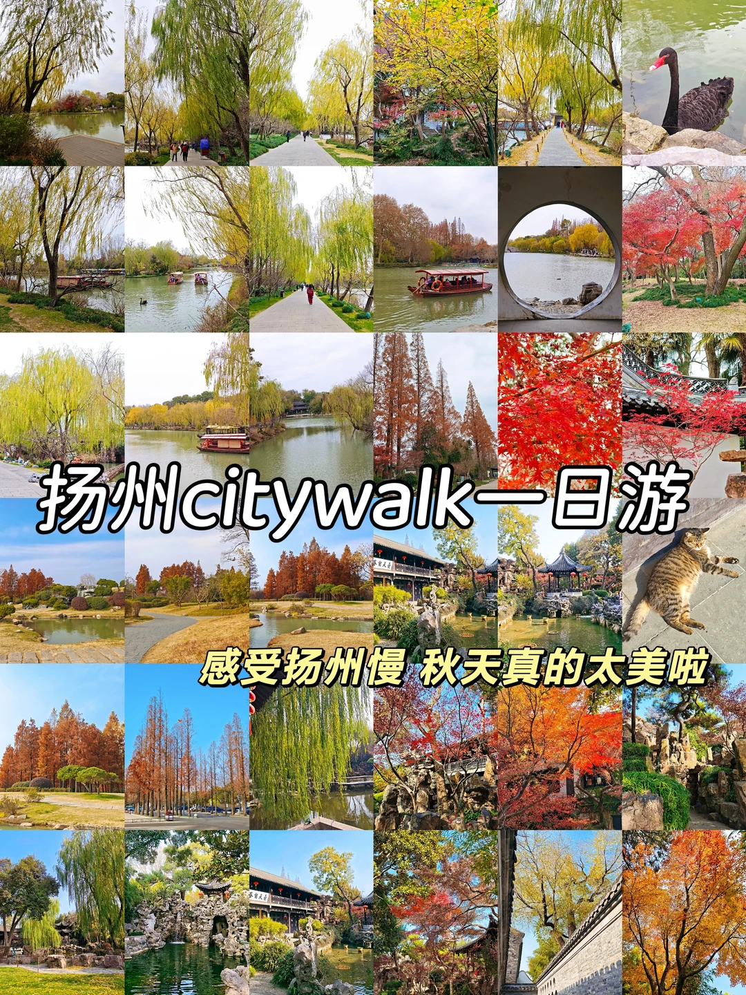 扬州🍂闲逛感受扬州慢！美到放弃烟花三月