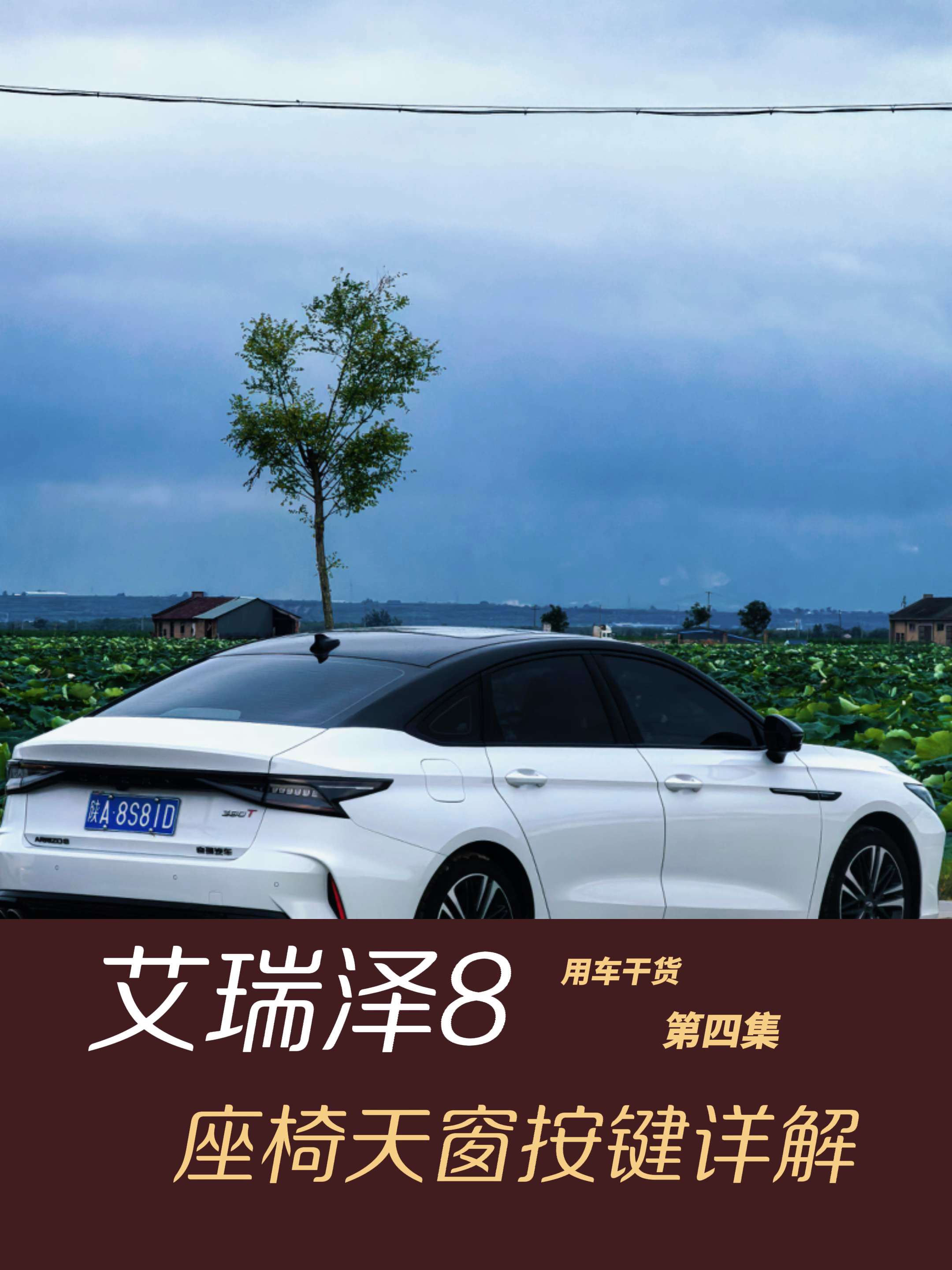 艾瑞泽8隐藏机关，不知道太亏了
车门侧面那排按键，长按M再按数字，换人开直接坐回去就行。手套箱里藏着个香氛盒，滑开能装三颗香氛蛋，自己动手省了笔加装费。方向盘底下还藏着个把手，往下扳调位置，调好推上去锁紧。这些不起眼的小机关平时多摸摸，体验感直接拉满。大家还发现了哪些好用的设计？评论区聊聊，顺手点个