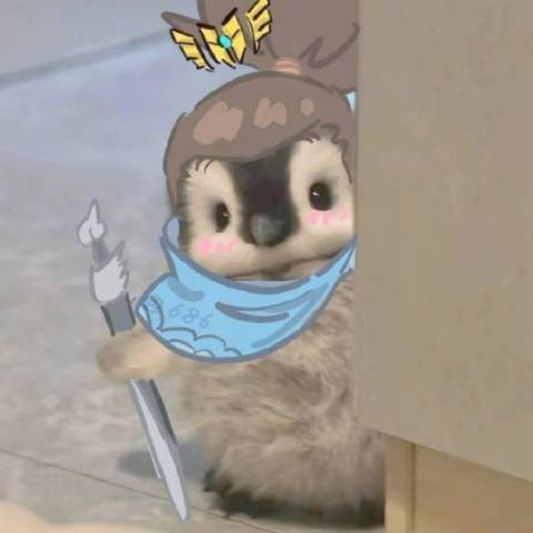 PAOPAOJI大王