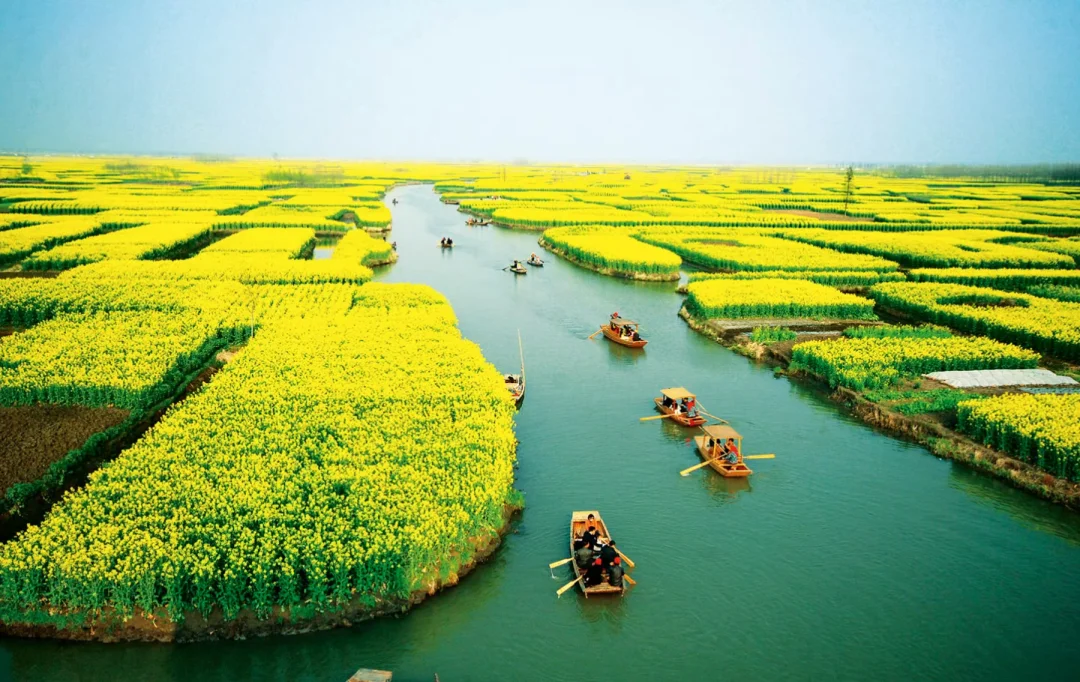 【地理风光】水田阡陌的里下河平原