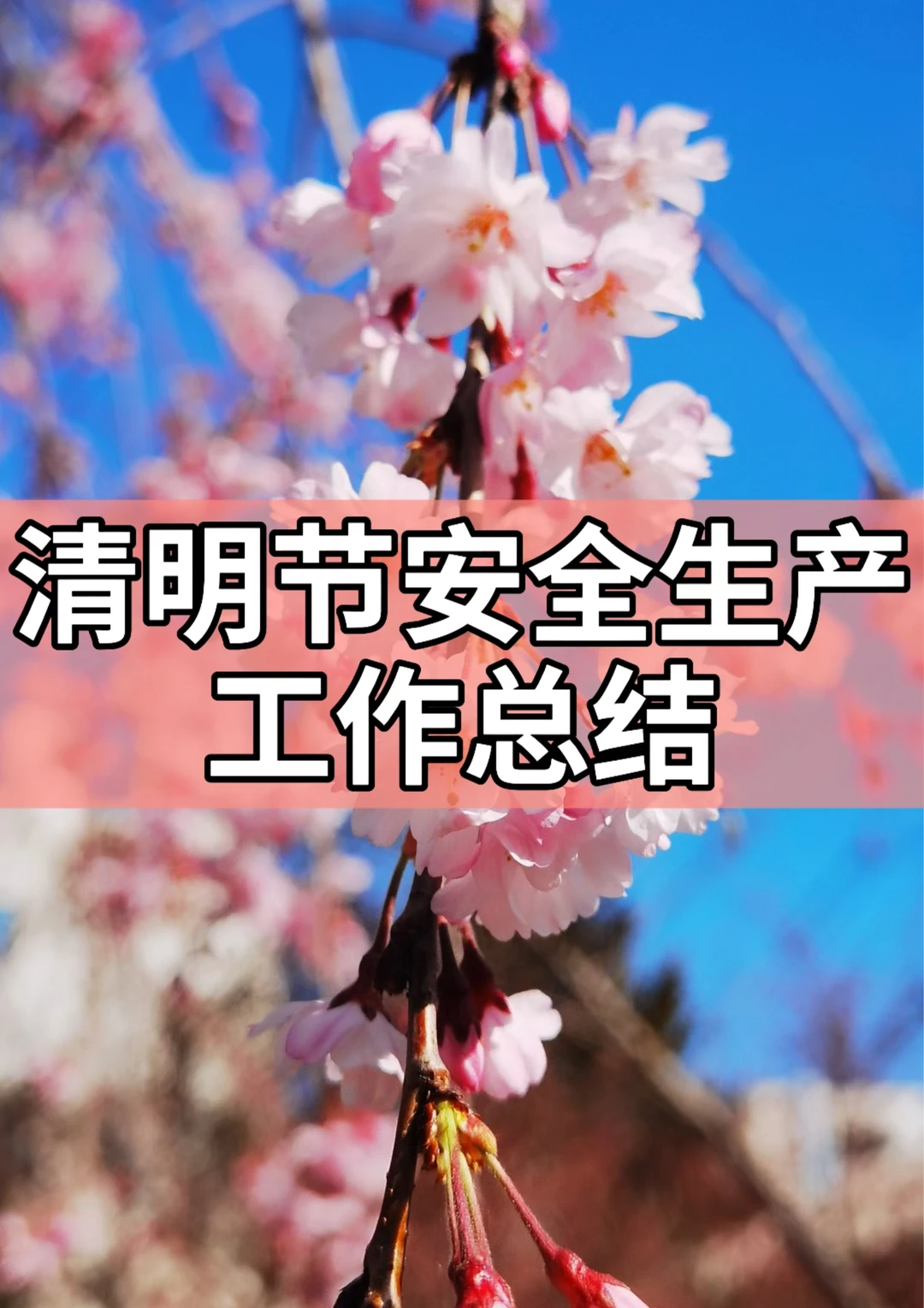 体制内：清明节安全生产工作总结