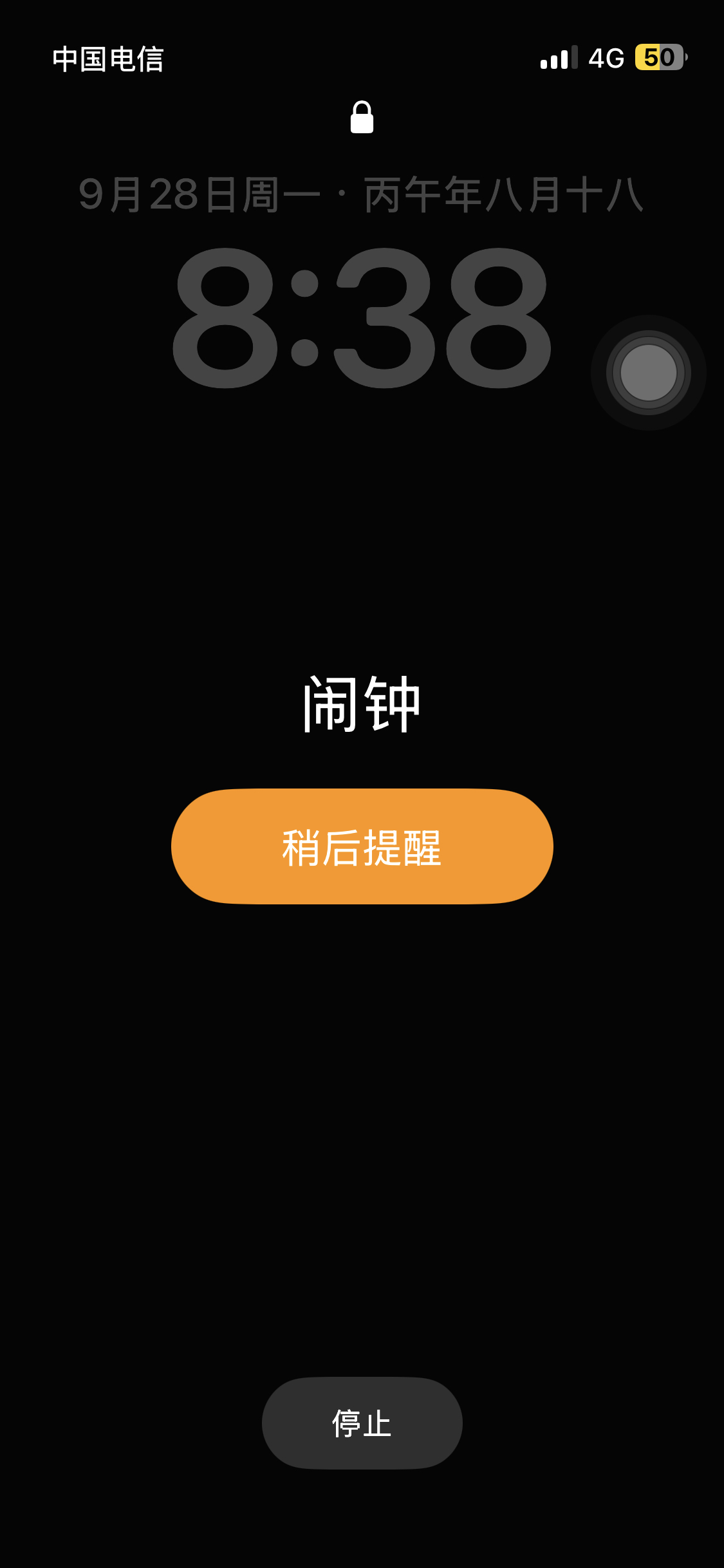 fffffd大春v编剧荆棘鸟吧