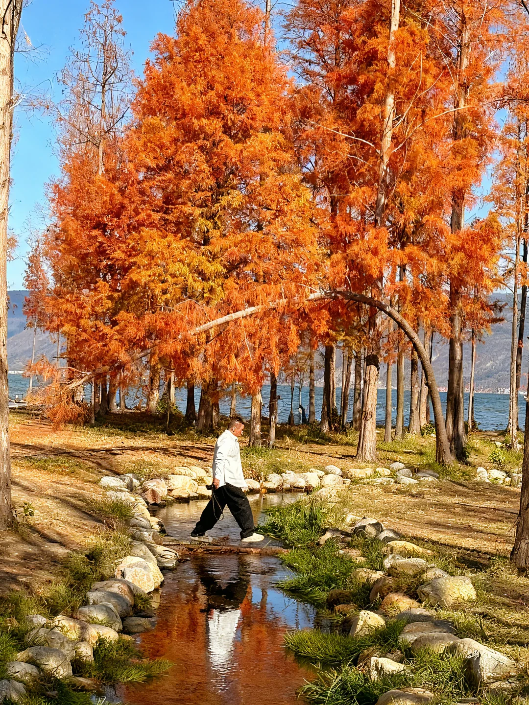 N刷大理❗️真心建议：洱海这样玩就对了❗️攻略