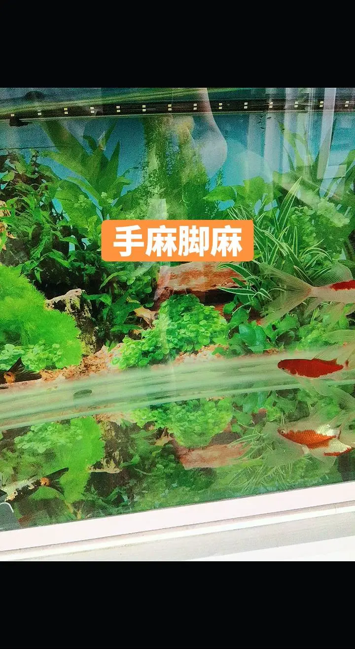 8月29日，斯诺克武汉公开赛决赛落下帷幕！00后小将常冰玉对阵世界第一赵心童，最终以10:7拿下胜利，斩获职业生涯首座排名赛冠军奖杯。同时，中国选手也实现了武汉公开赛三连冠。斯诺克武汉公开赛 常冰玉 赵心童