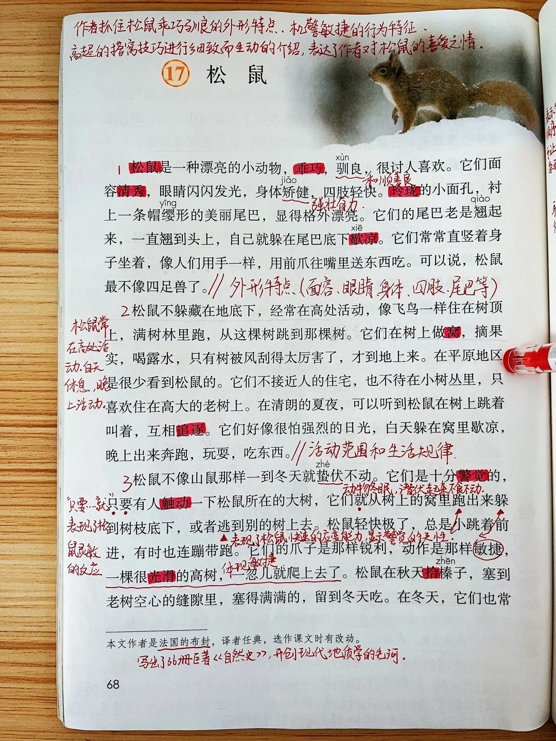 五年级上册2023版《松鼠》课堂笔记