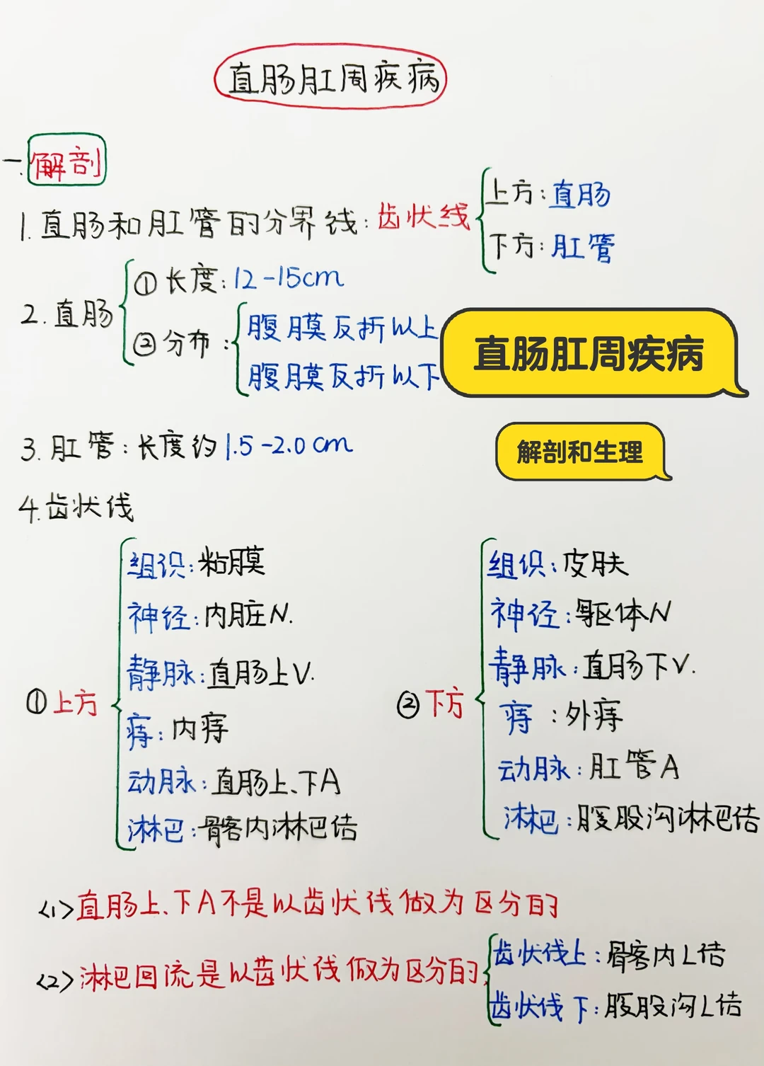 今日学习打卡——执业医|直肠肛周疾病