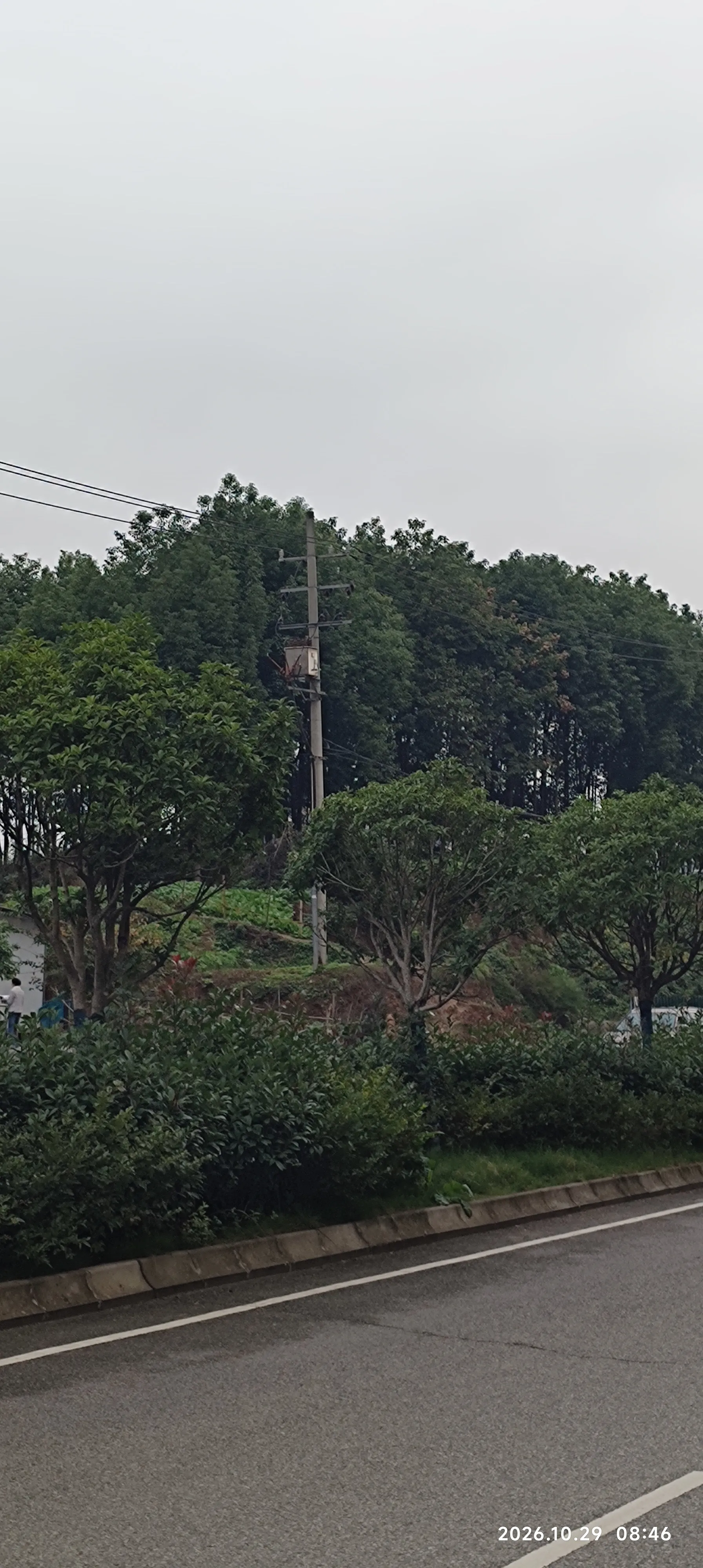 乡间大路