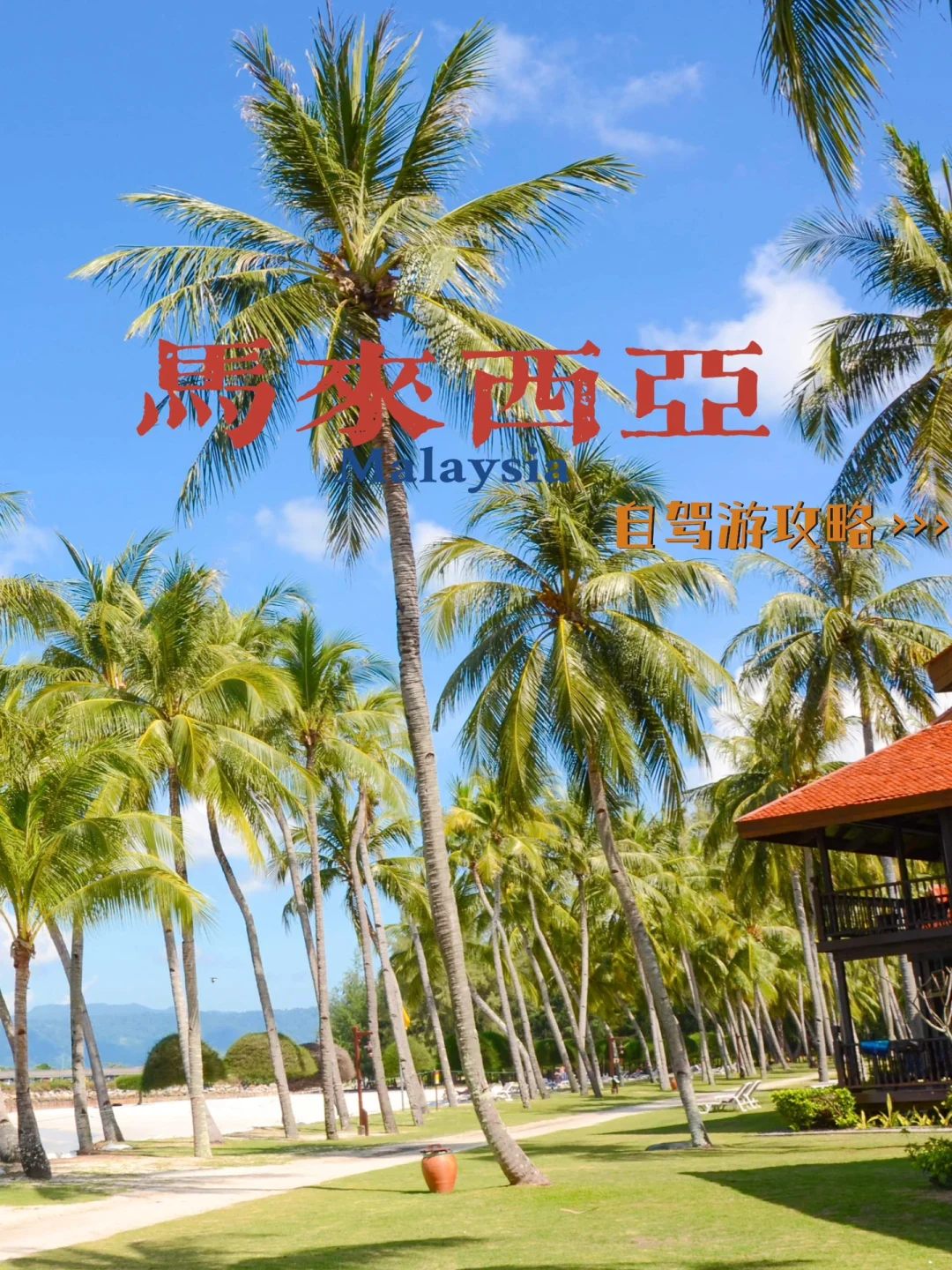 马来西亚自驾，保姆级攻略‼️（含注意事项）