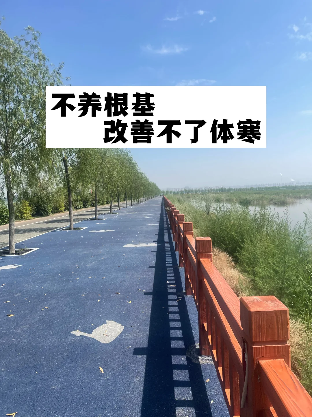 不养根基，改善不了体寒.