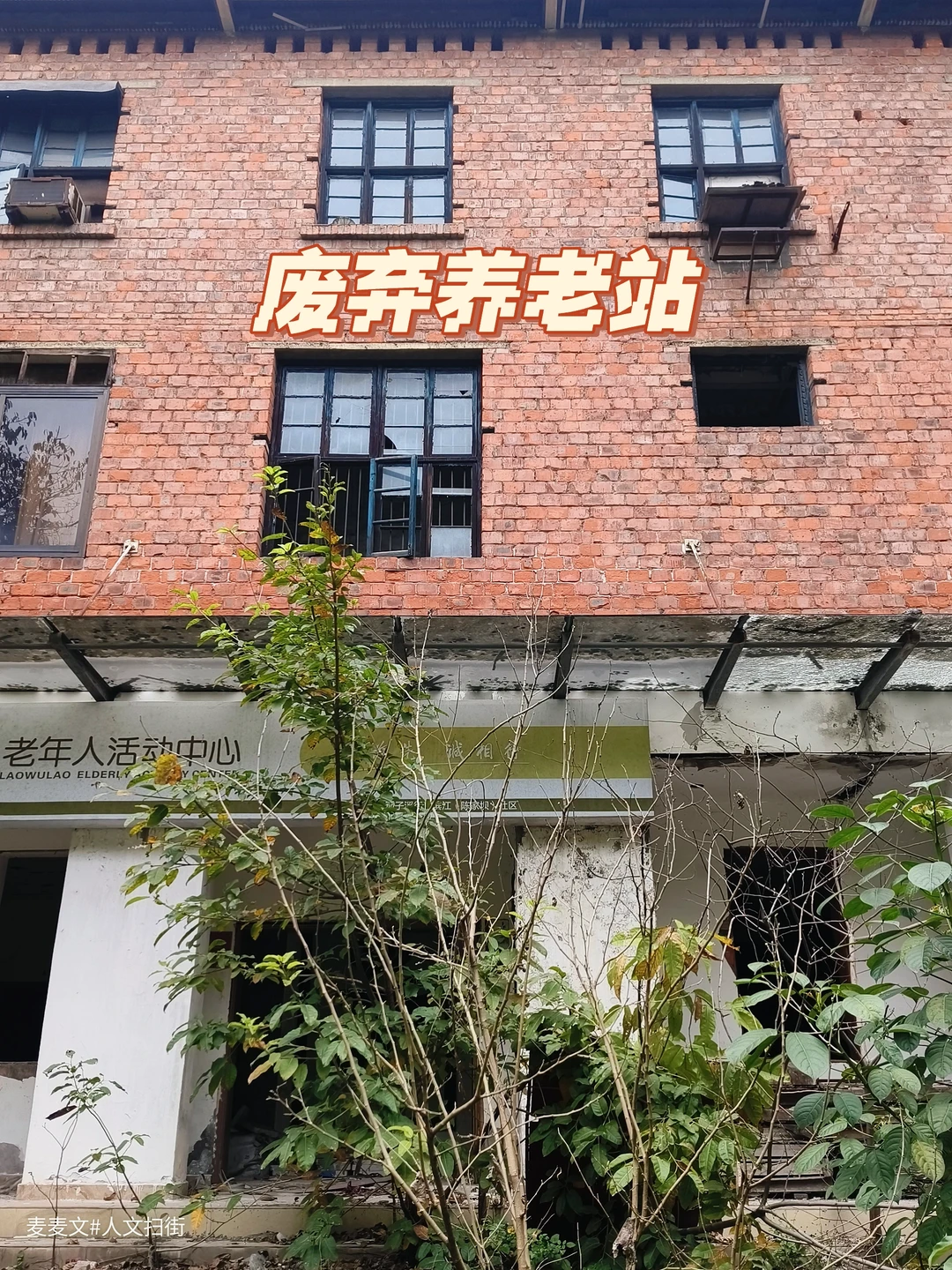 【大渡口】被草木吞噬的老年人活动中心