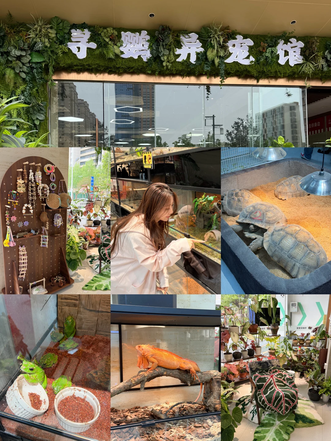 小朋友来了就不想走怎么办。。。