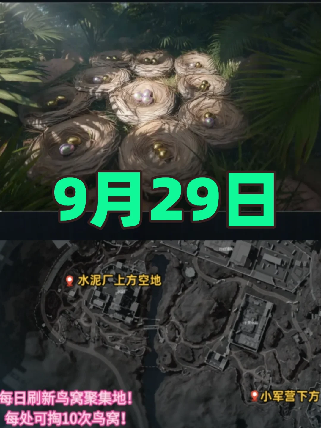 三角洲行动9月29日鸟窝聚集地全点位！