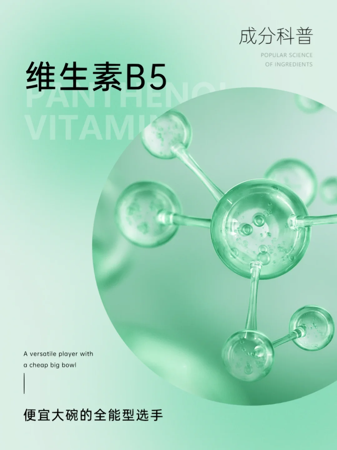 成分科普|便宜大碗全能型选手——维生素B5