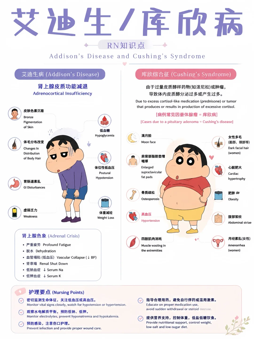 备考RN/艾迪生/库欣综合征！学！！单词
