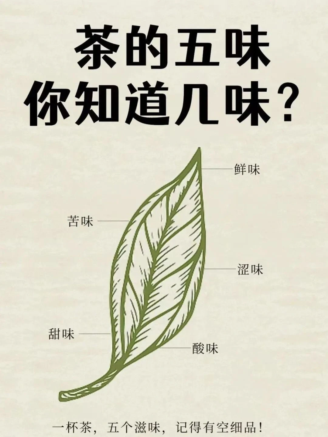 茶的五味，你都知道吗？