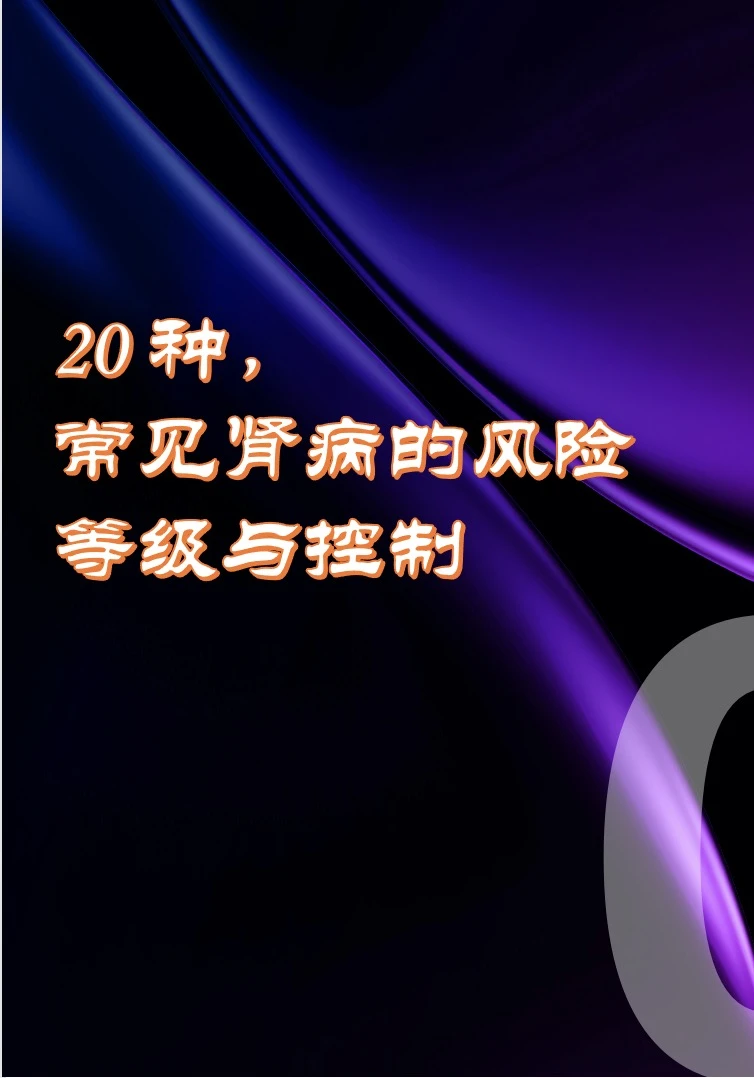 20种常见肾病的风险等级与控制