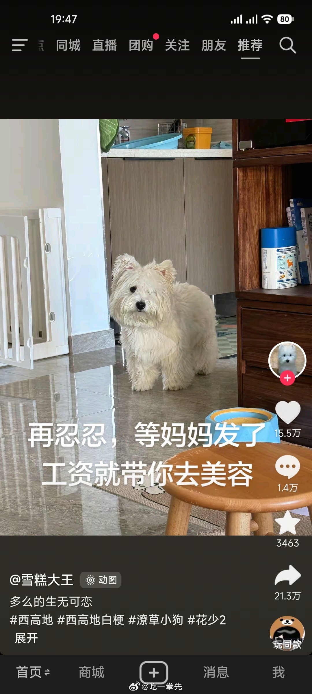你发工资了吗？哈哈哈哈哈​