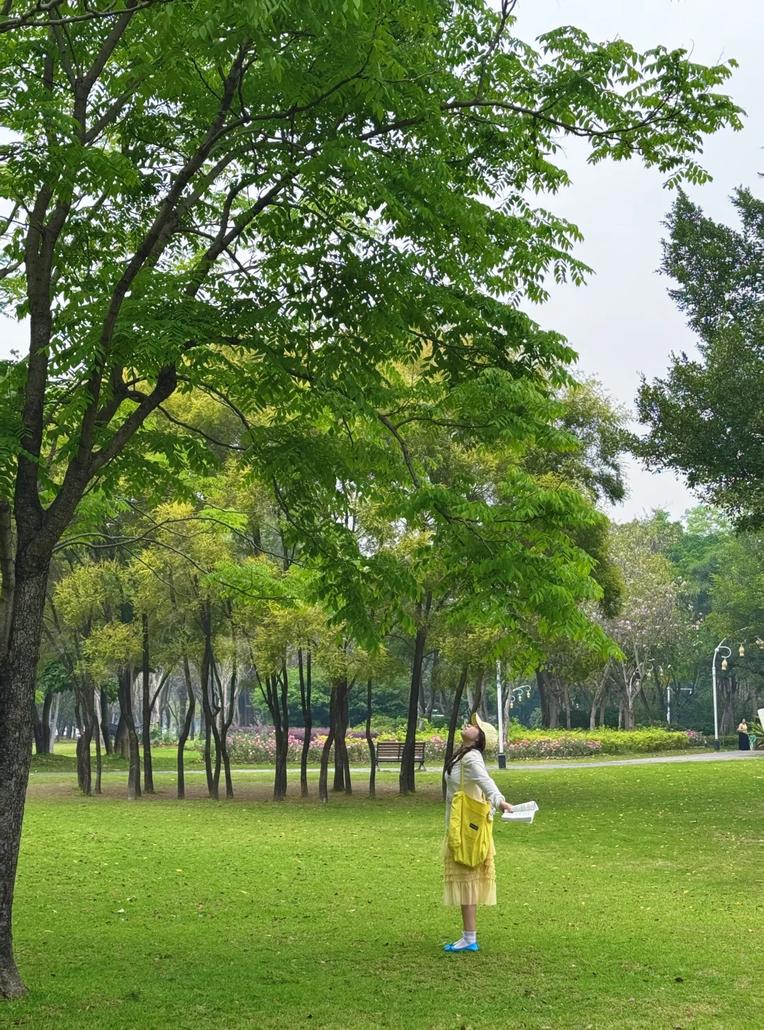 柳州人很幸福｜那些好看的公园都是免费的