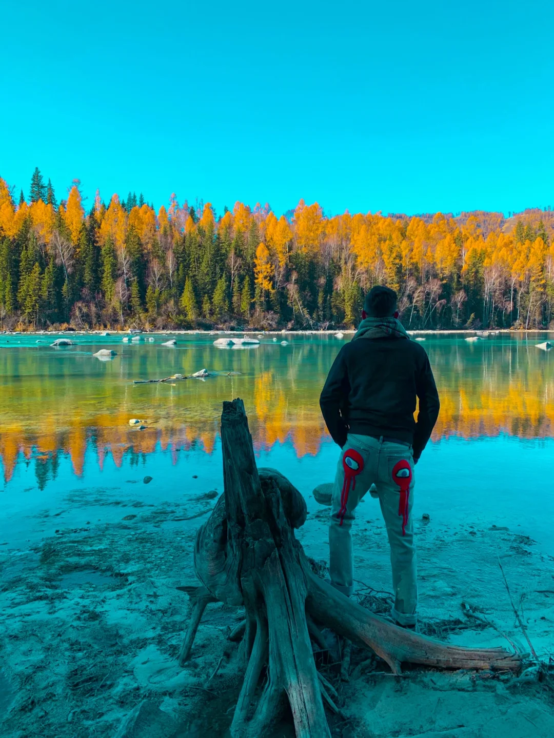 金秋遇见喀纳斯，便胜过人间无数！