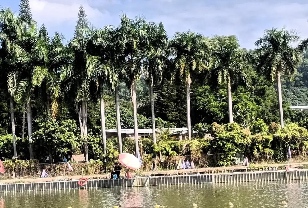 我刷到《我在虎门开农庄》第八十集，差点笑出声。 主角刚把农庄接手，就让...