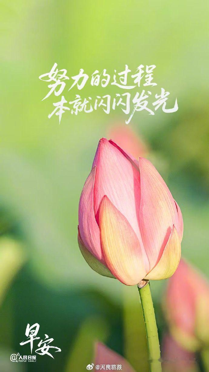 【努力的过程本就闪闪发光】很多时候，付出不会立刻得到回报，却在默默沉淀...
