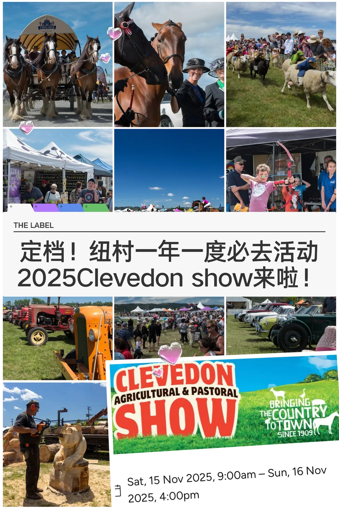 🇳🇿纽村一年一度！2025Clevedon Show来啦？