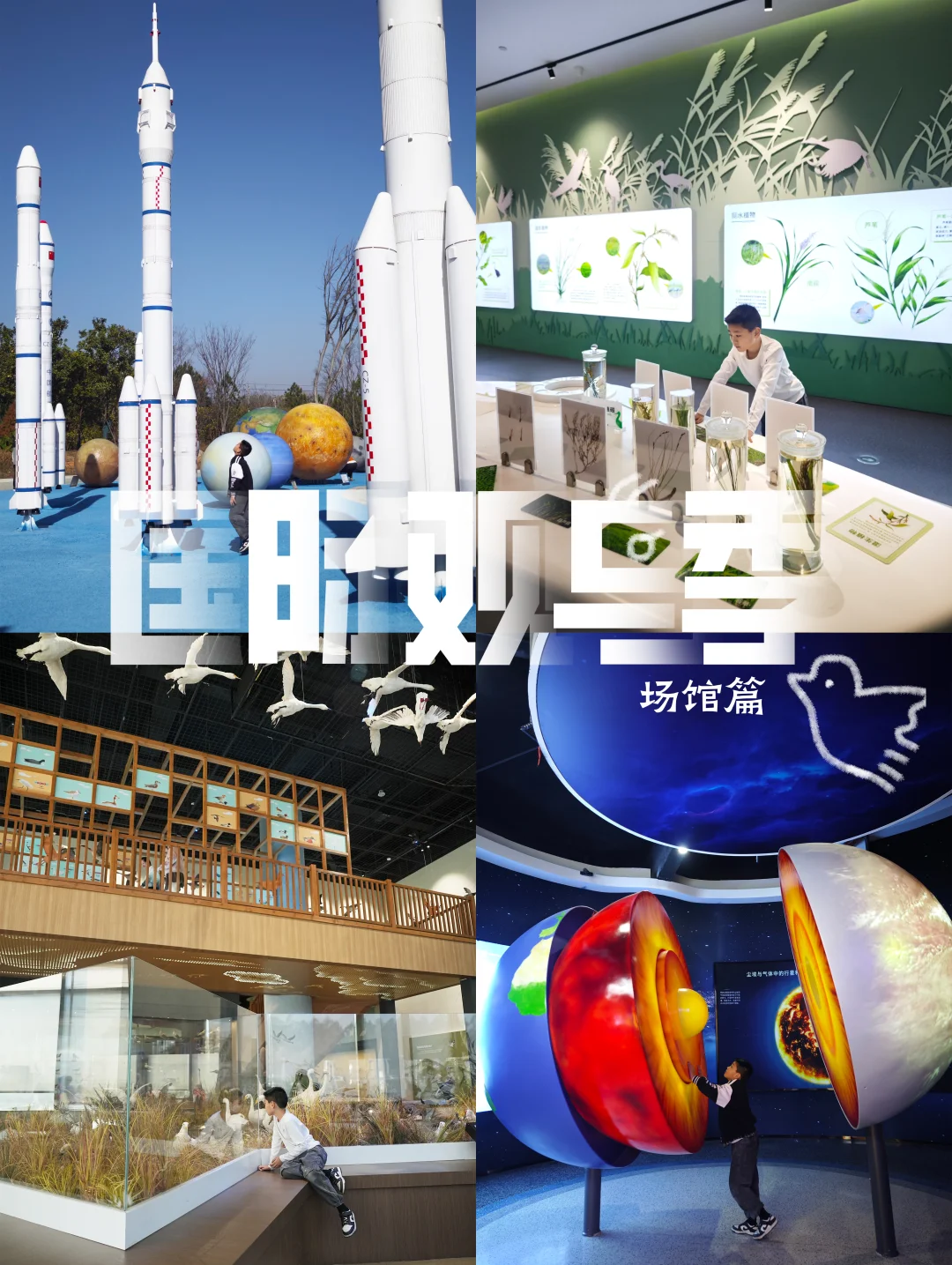 鄱阳湖观候鸟｜卷科普的吴城遛娃赢麻了