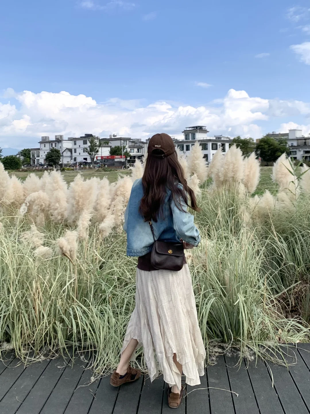 吹吹下鸡邑蒲苇荡的风～🍂