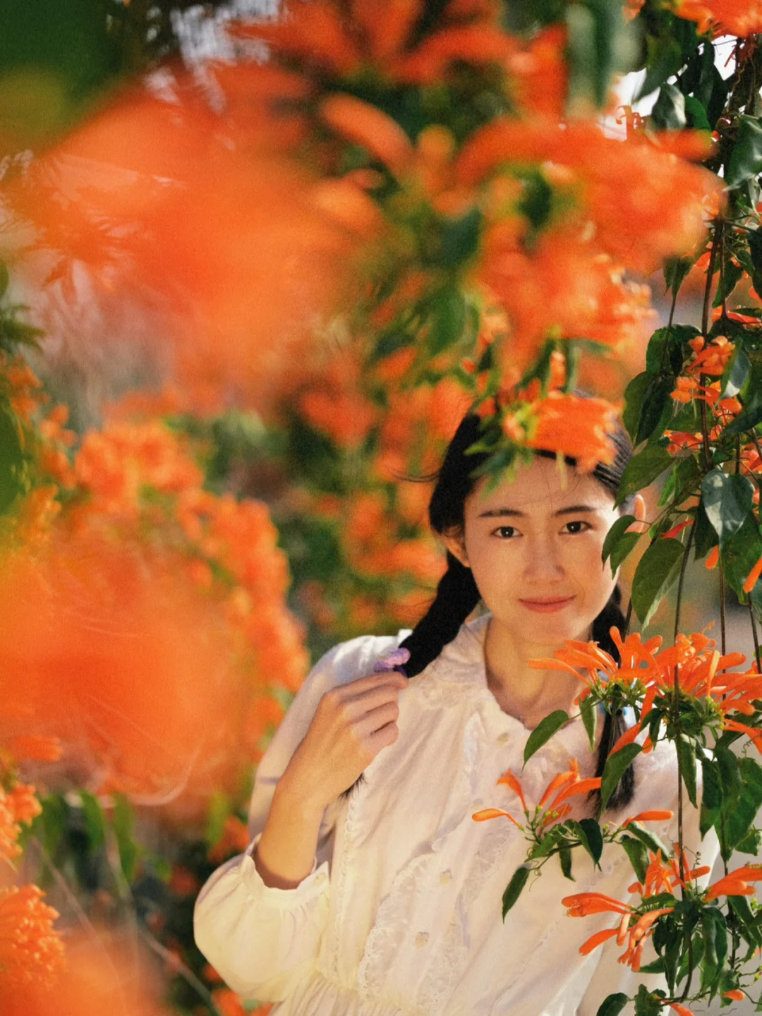 广州宝藏小岛，江边挂着百米橘黄色炮仗花墙