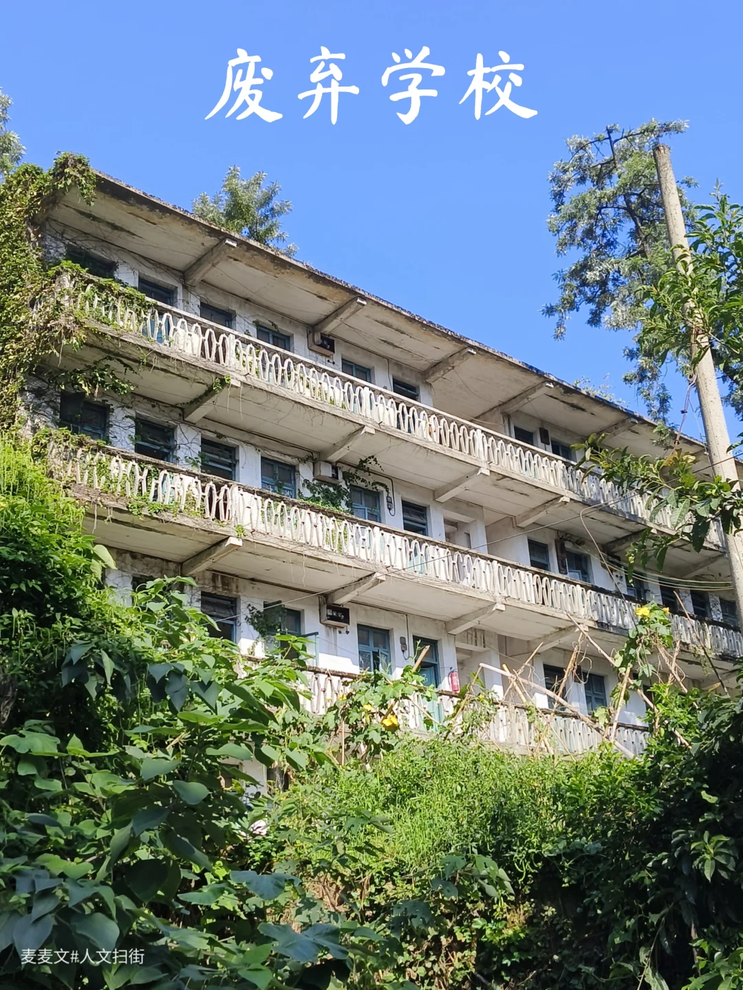 【北碚】邂逅一所被绿植拥抱的废弃学校