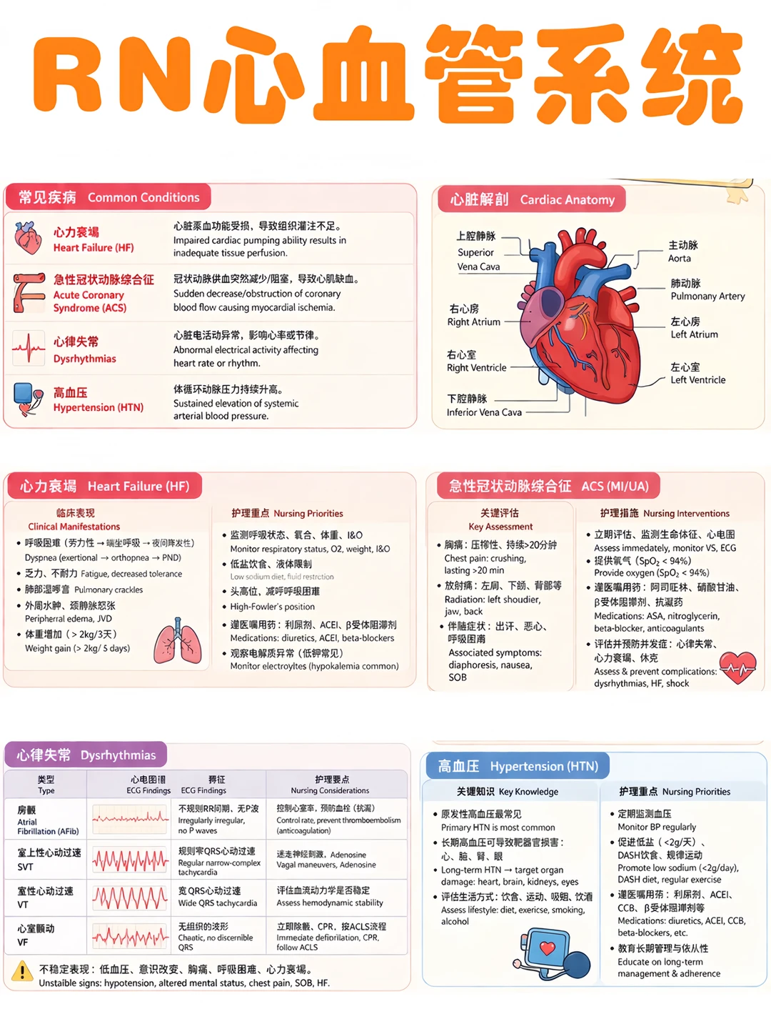 护理备考RN/心血管系统！！学！！单词