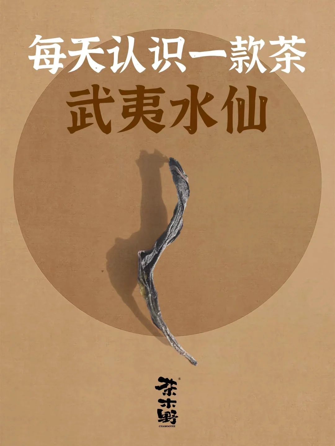 知识分享丨一分钟了解武夷水仙