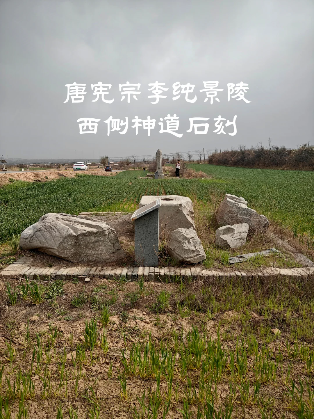 唐宪宗李纯景陵 南门西侧神道石刻