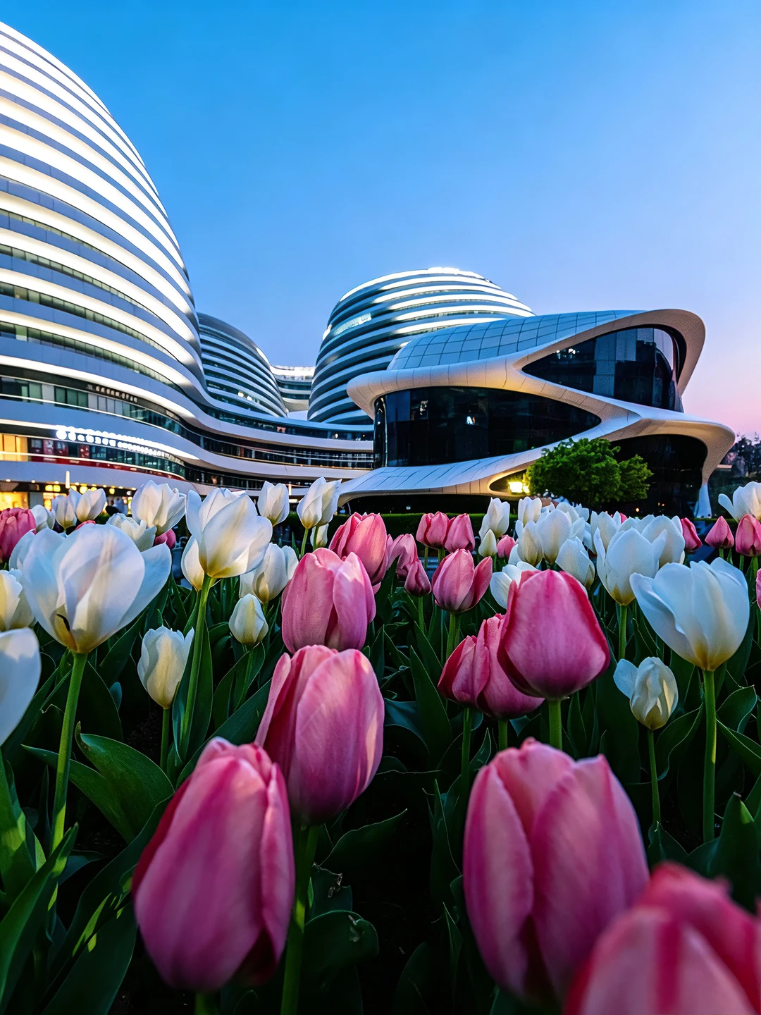 这个春天走了20w步，我拍到了北京Top级瞬间