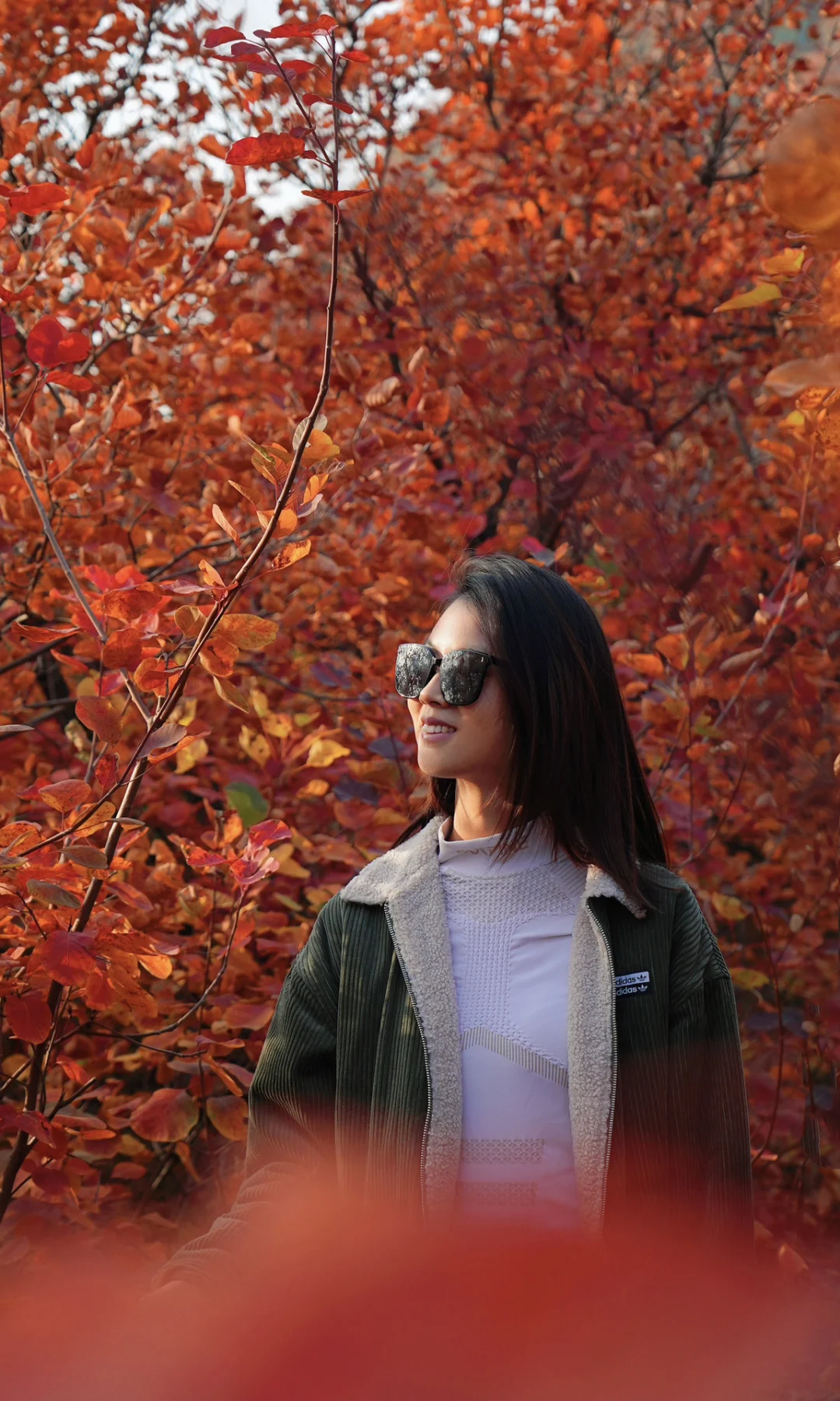 用全屏方式打开北京的秋天🍁10月北京杀疯了