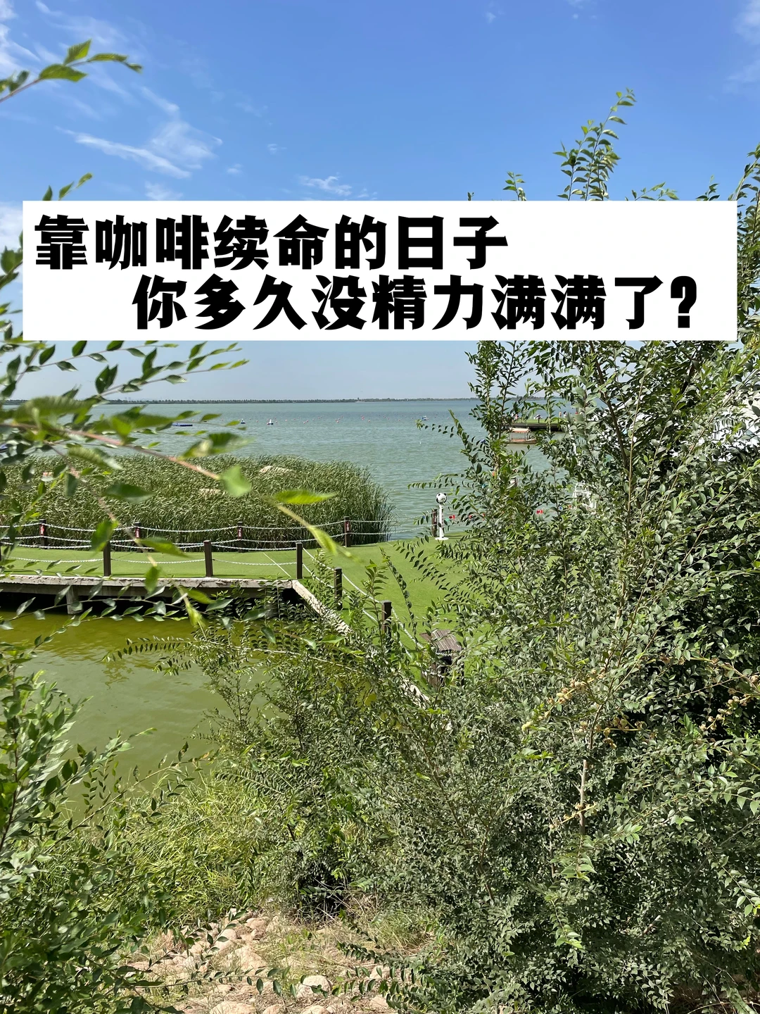 靠咖啡续命的日子，你多久没有精力满满了？