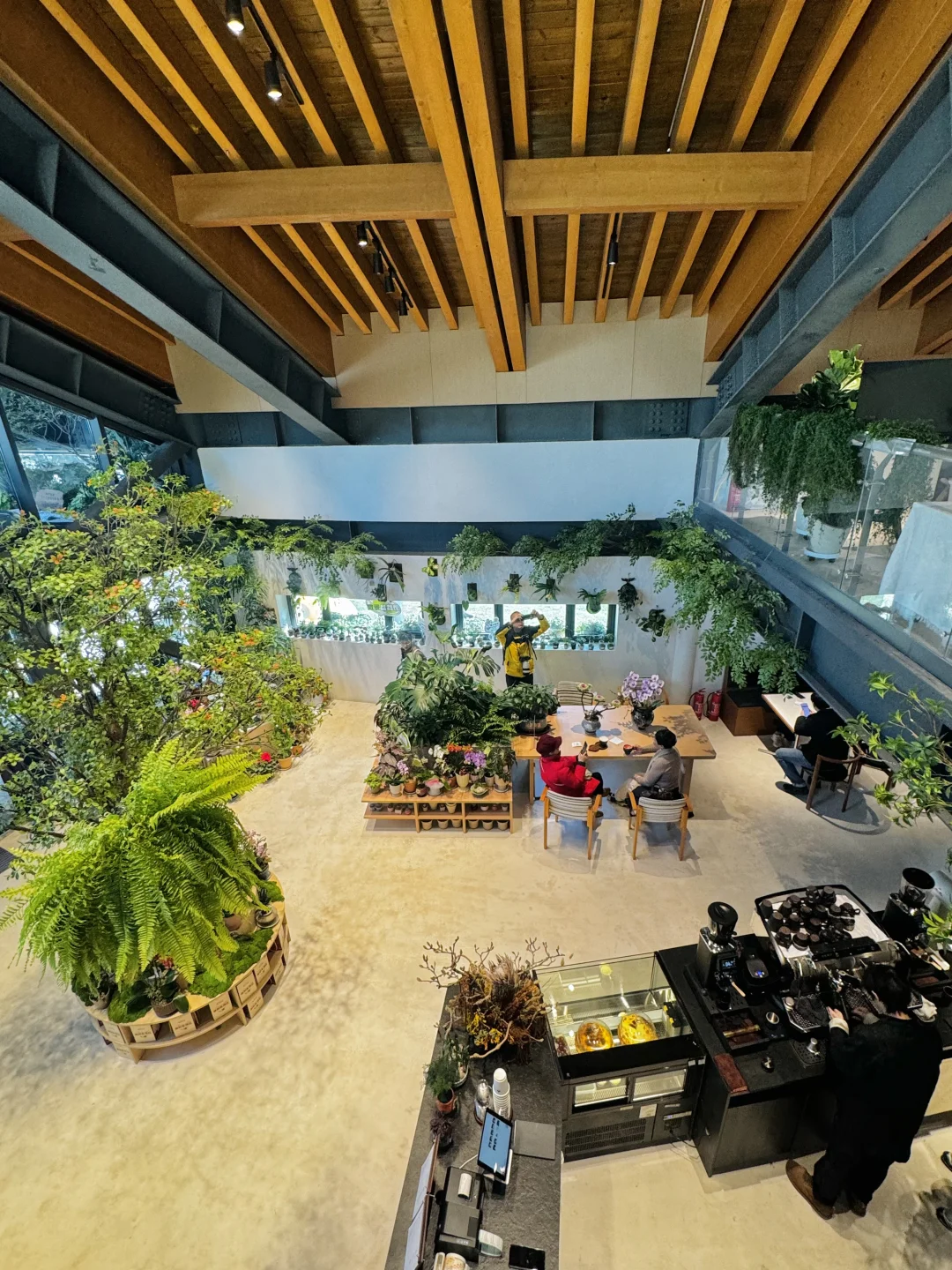 武汉新晋咖啡店☕️在森林里晒太阳发呆🌞