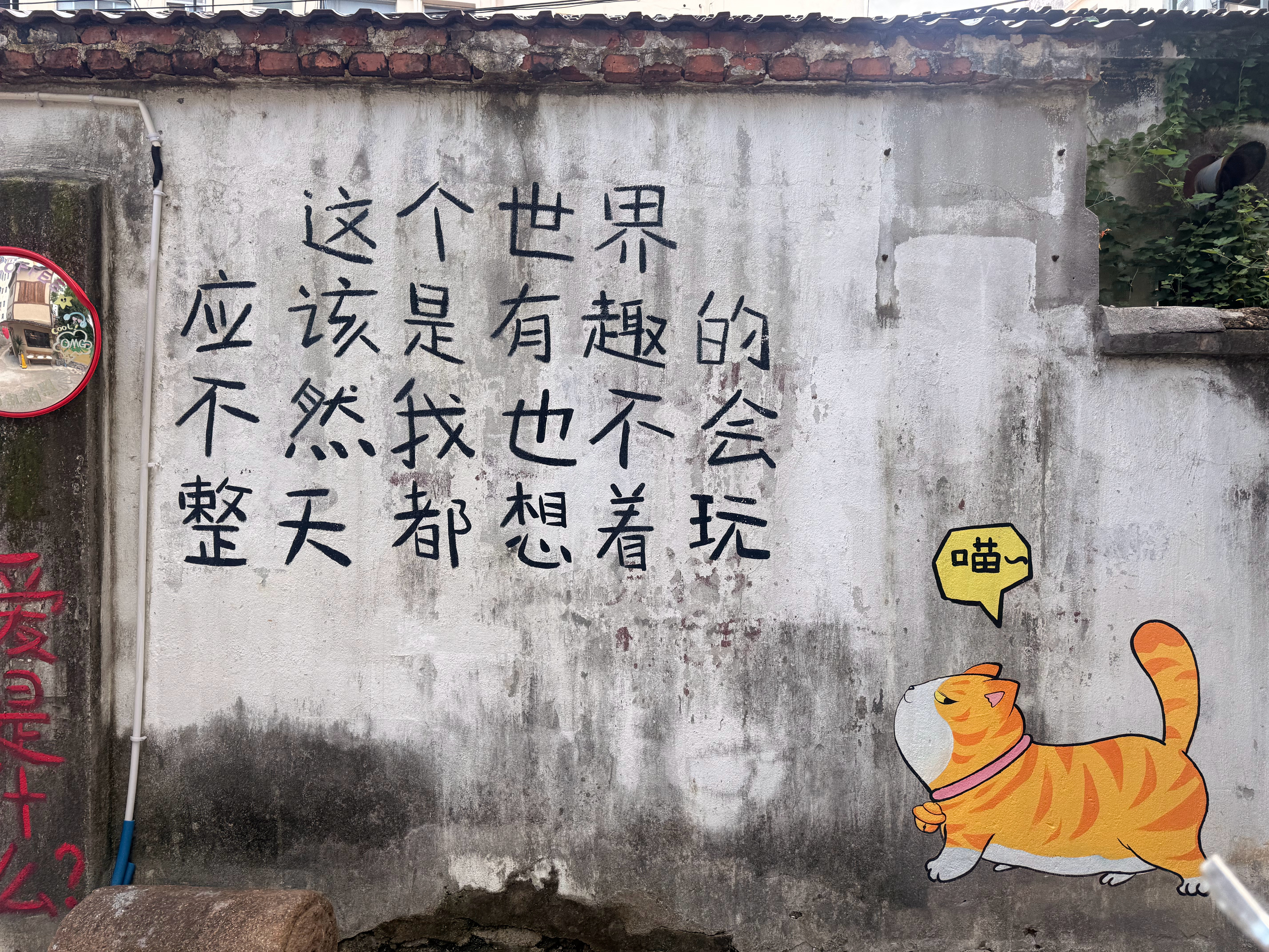：度过了一个有盼头的周末
原来看见别人幸福是会落泪的🥹
摘葡萄骗局
返程日偶尔大雨偶尔晴🤬 
被骗到了无锡去做电灯泡💡 but摸到了煤气罐🐱
一边手2箱 背上背着散葡萄 胸前挂着拍立得
以及只有细细的绳子 又短又勒手：一边保持平衡不让掉 一边忍巨痛前行上楼 平安到达后
只能说：我真🐮🍺 ​