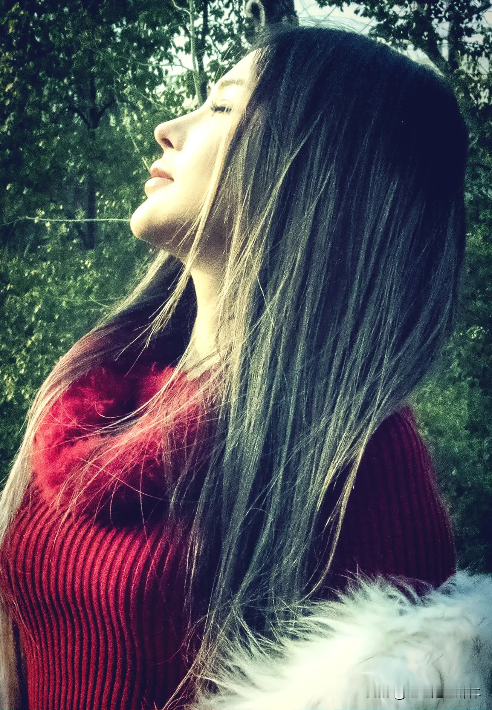 美女户外写真置身于森林，感受自然的美好！ [玫瑰][玫瑰][玫瑰][赞...