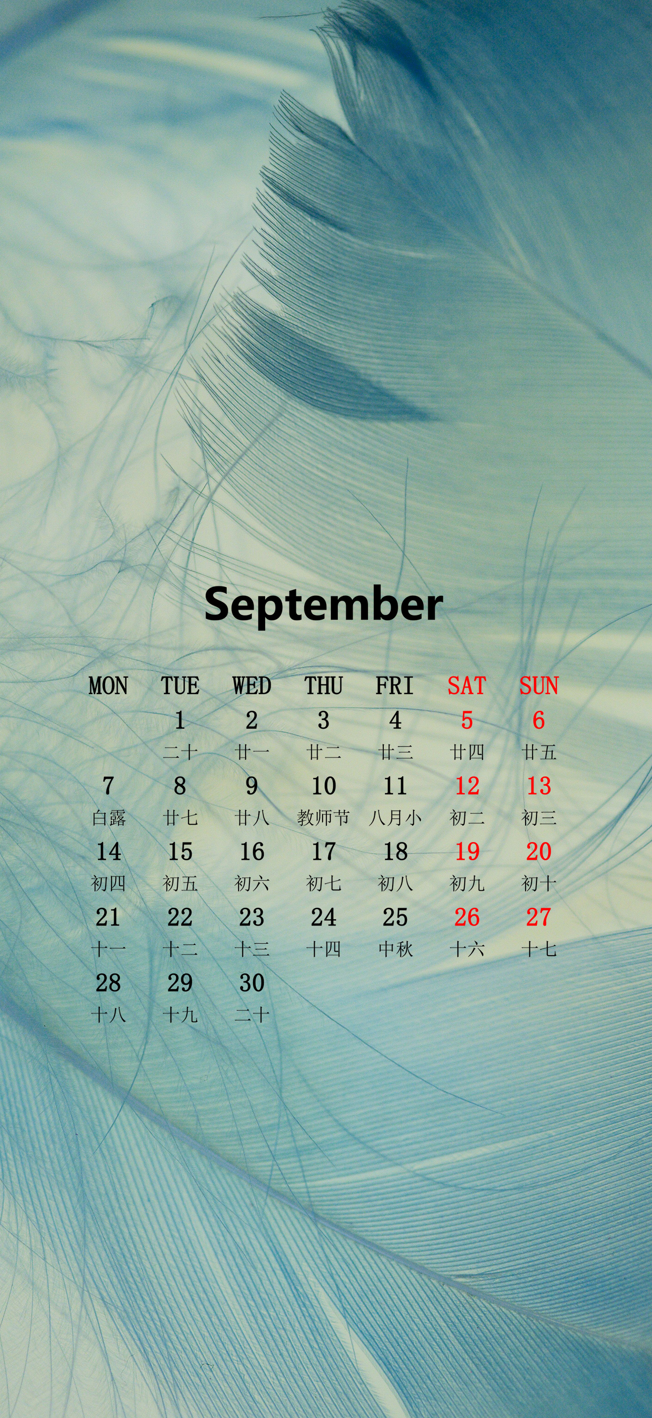 2026年9月日历手机壁纸
#9月你好# ​