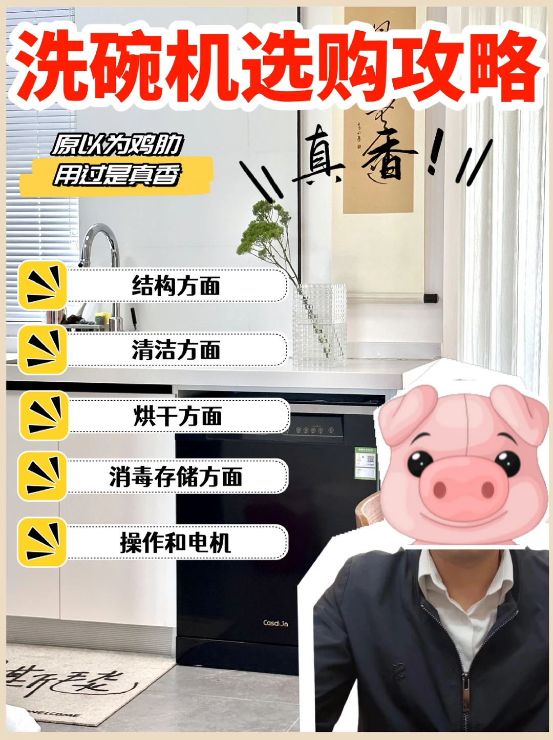 研究了26台洗碗机，老板说我是同行