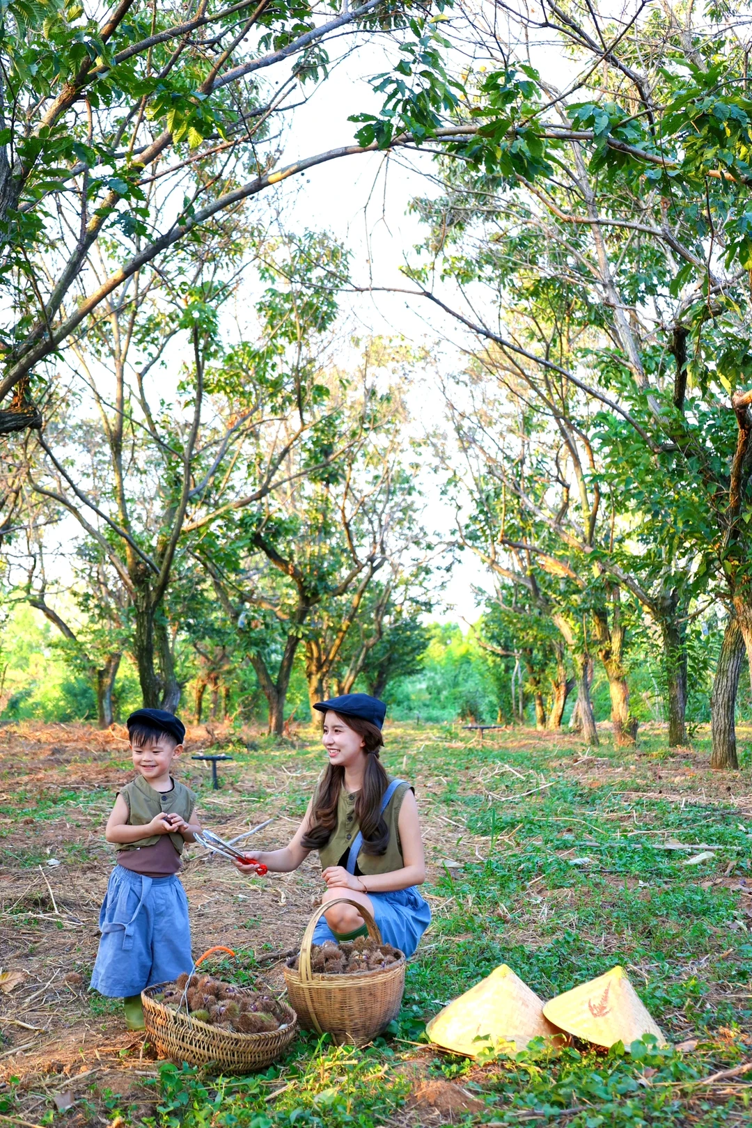 就在武汉‼️遛娃胜地🌰这里的板栗根本捡不完