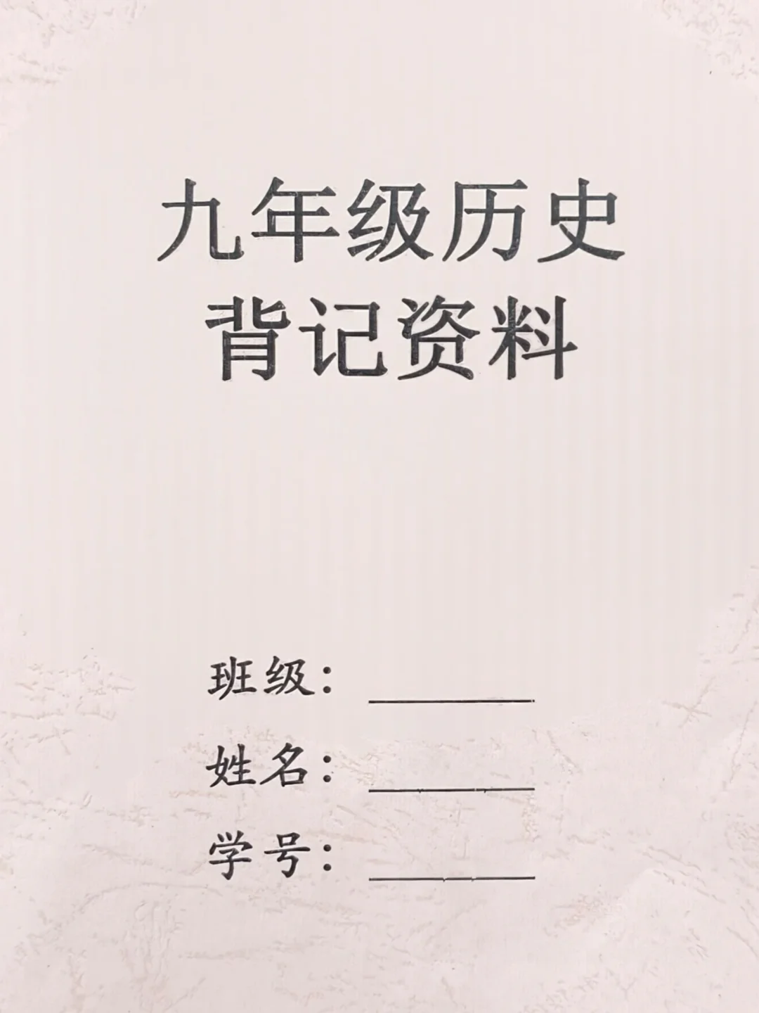 2026 年中考历史背记默写资料