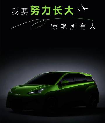 海鸥真的长大了，比亚迪全新海鸥工信部申报，长宽高分别为4205/181...