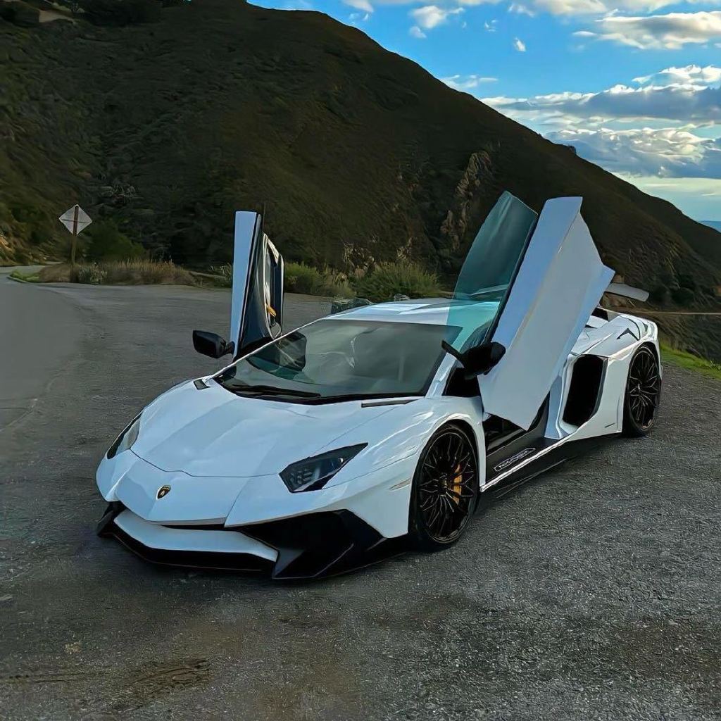 静槐赏汽车
