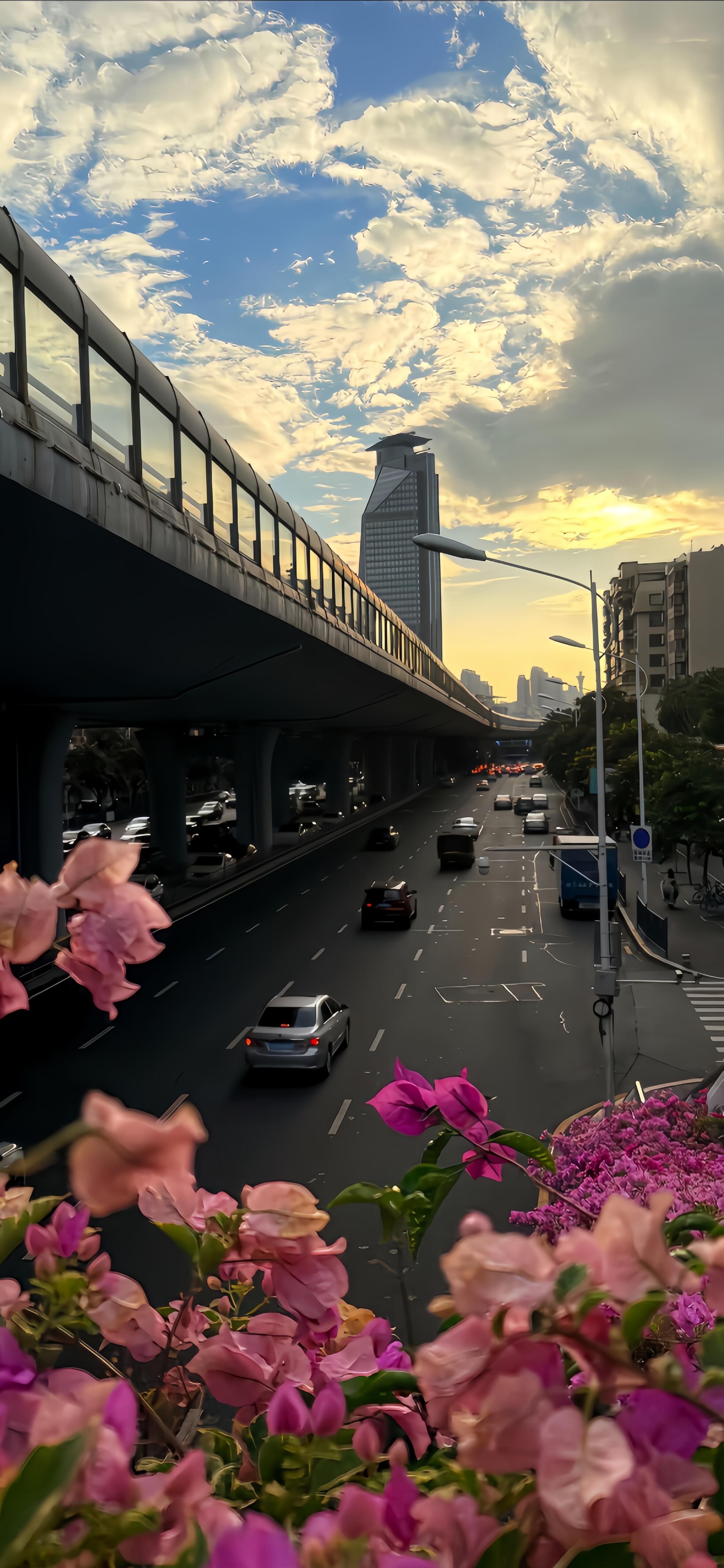 𝒊𝑷𝒉𝒐𝒏𝒆 16 𝑷𝒓𝒐壁纸˗ˏˋ🩷ˎˊ˗ ​