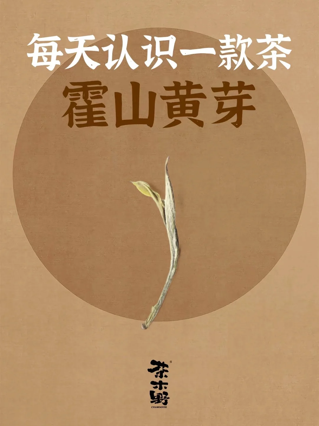 知识分享丨一分钟了解霍山黄芽