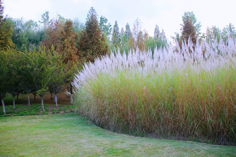 随着各自的环境不同，造就他们的观点差异，时间长了就会慢慢疏远。