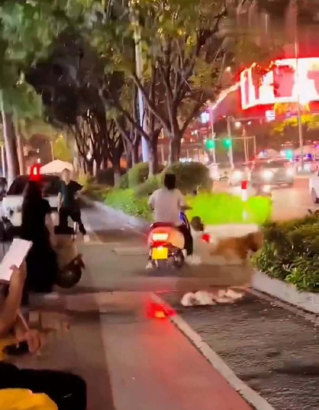 #小狗被咬死主人骑车追撞大狗#怎么都不拴狗绳儿啊？ ​